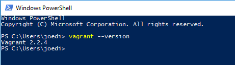 Working with Vagrant on Windows in 2019